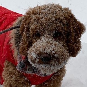 Meet your Posher, Sue-lane